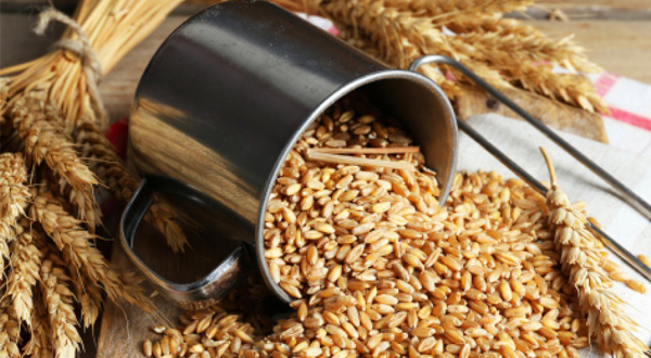 Dünya Durum Buğdayı Pazarı